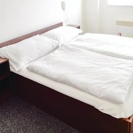 Two-bedroom In Appartement Sázava