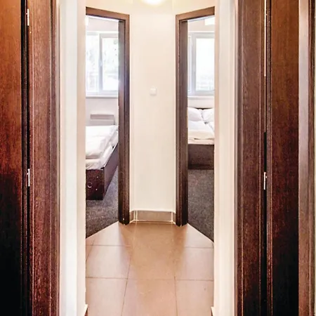 Two-bedroom In Appartement Sázava